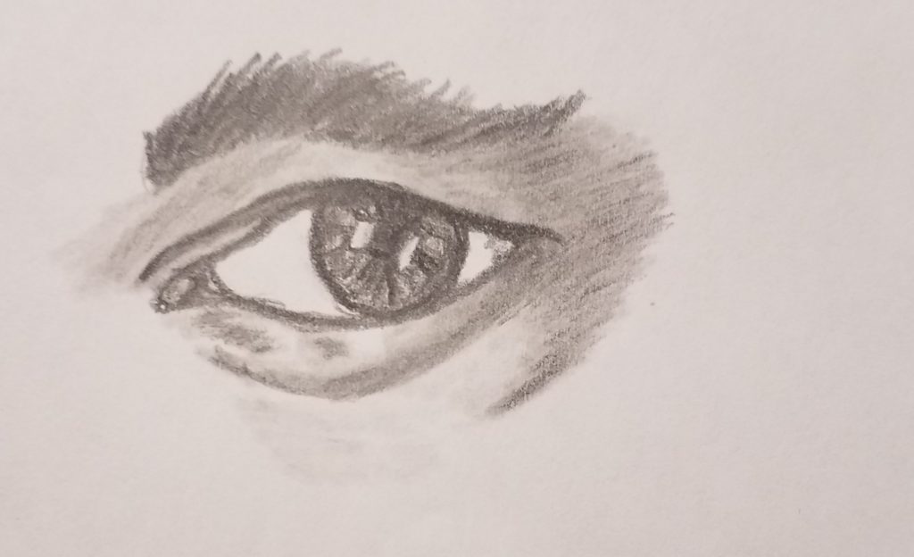 How-to-Draw-Eyes-for-Beginners-Pencil