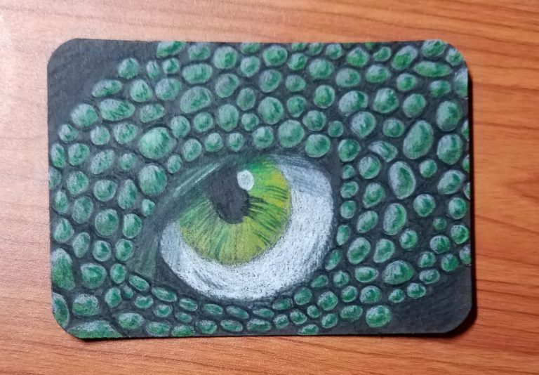 Dragon Eye Drawing Challenge - Art by Ro