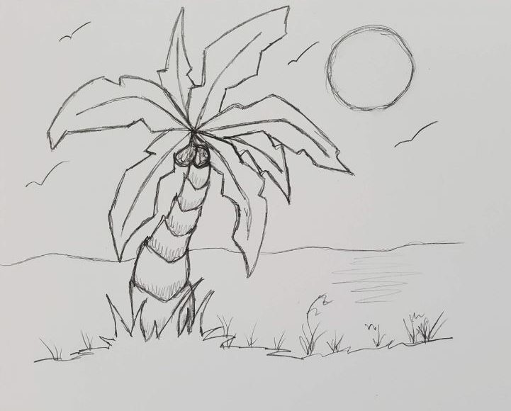 how to draw a palm tree on a beach