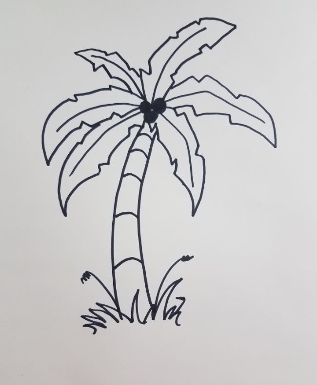 how to draw a palm tree on a beach