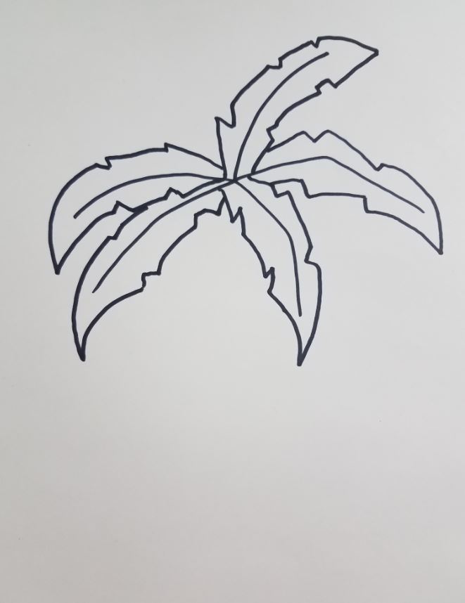 How-To-Draw-Palm-Leaves
