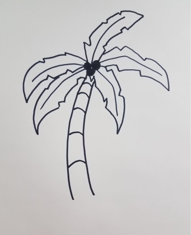 How to Draw a Palm Tree : 6 Steps - Instructables