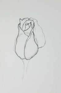 How to Draw a Rose Bud & Drawing Ideas - Art by Ro