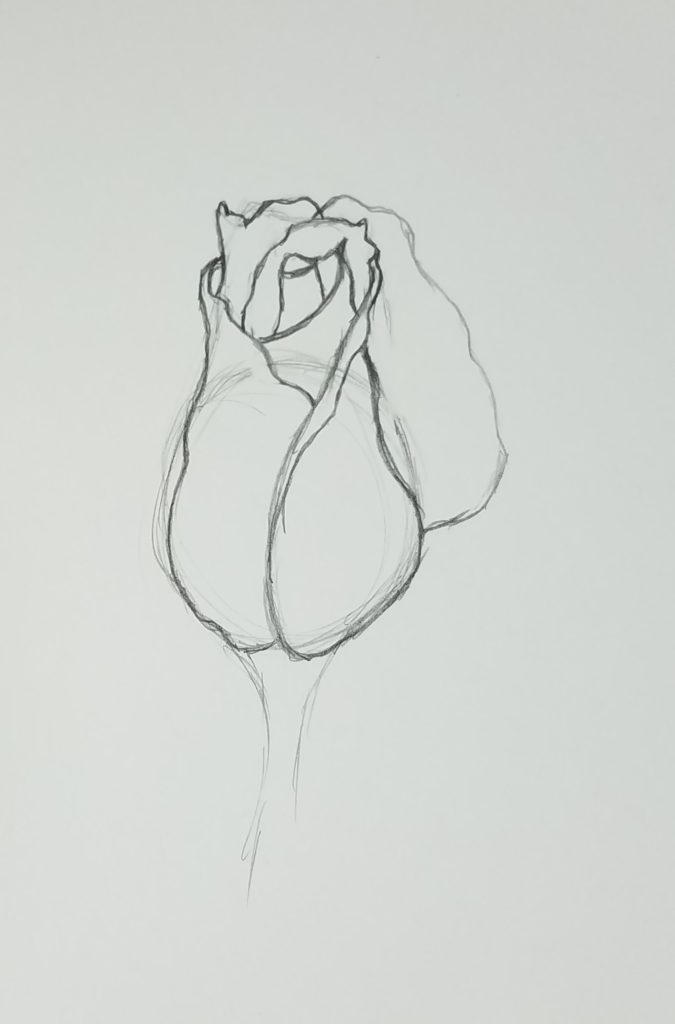 How to Draw a Rosebud