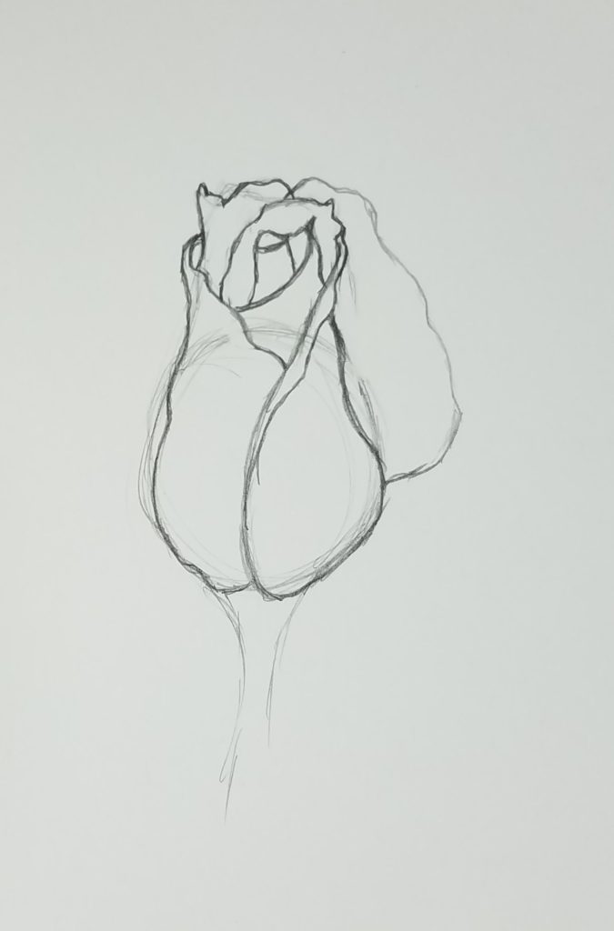 Rose Bud