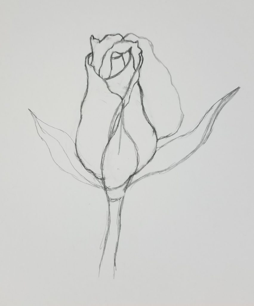 How-To-Draw-A-Rose-Bud-Leaves