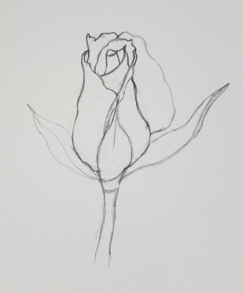 How to Draw a Rose Bud & Drawing Ideas - Art by Ro