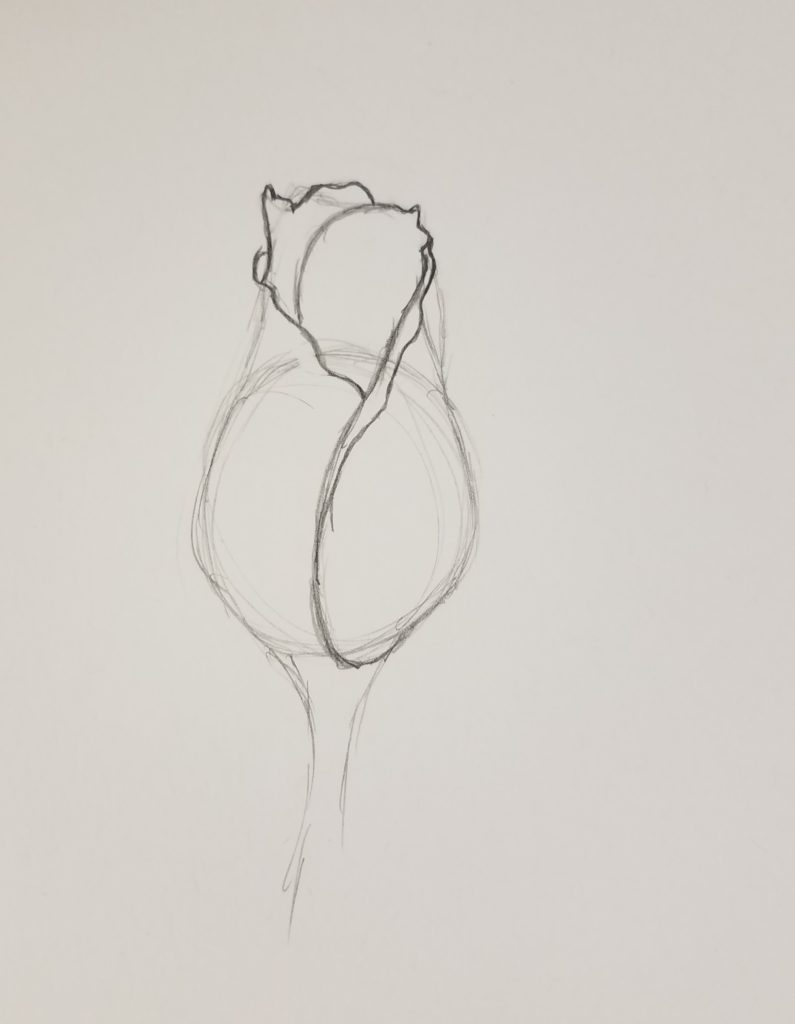 How to Draw a Rose Bud & Drawing Ideas Art by Ro