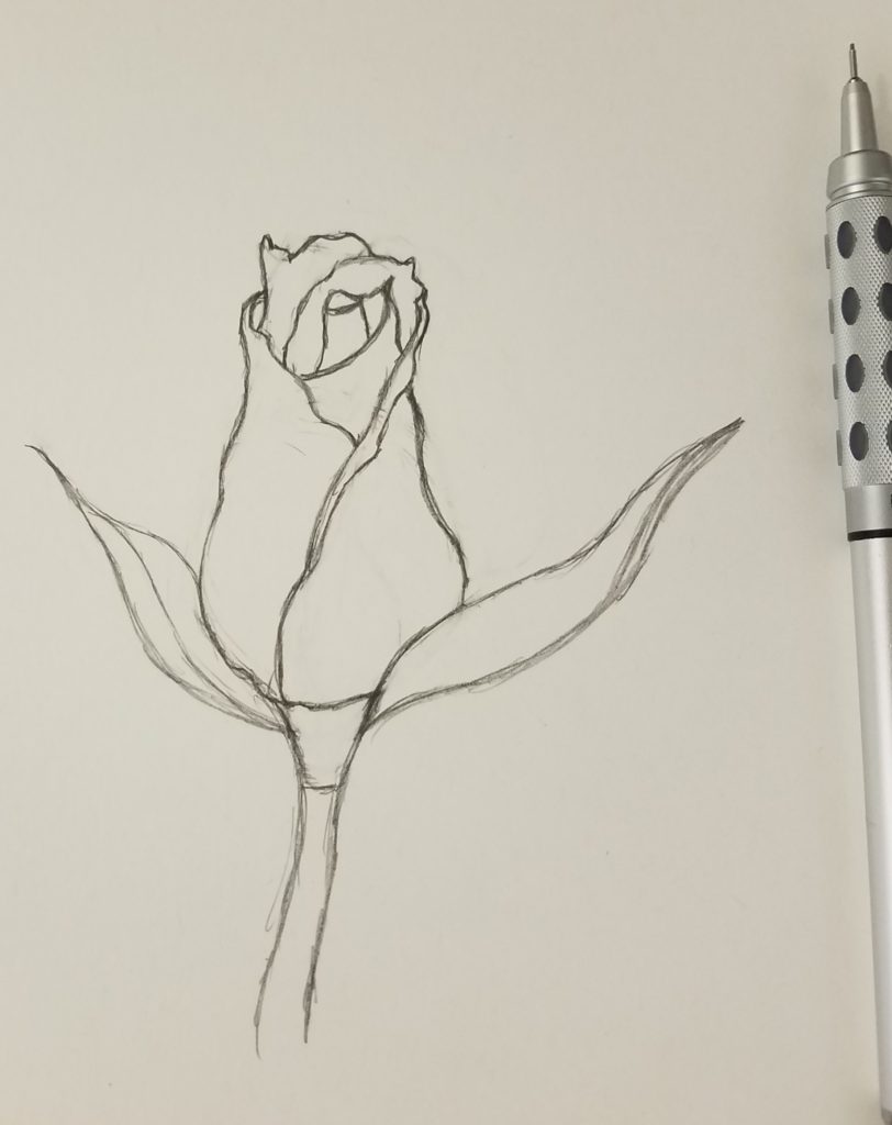How-To-Draw-A-Rose-For-Beginners-Bud-Artistic-Freedom