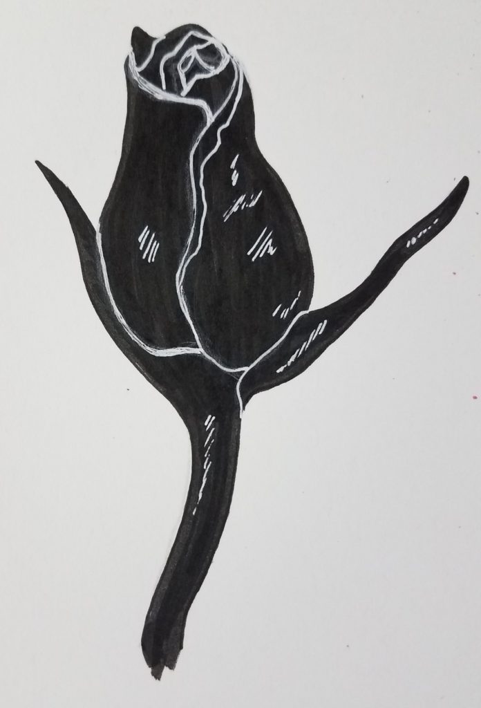 rose bud drawing black and white