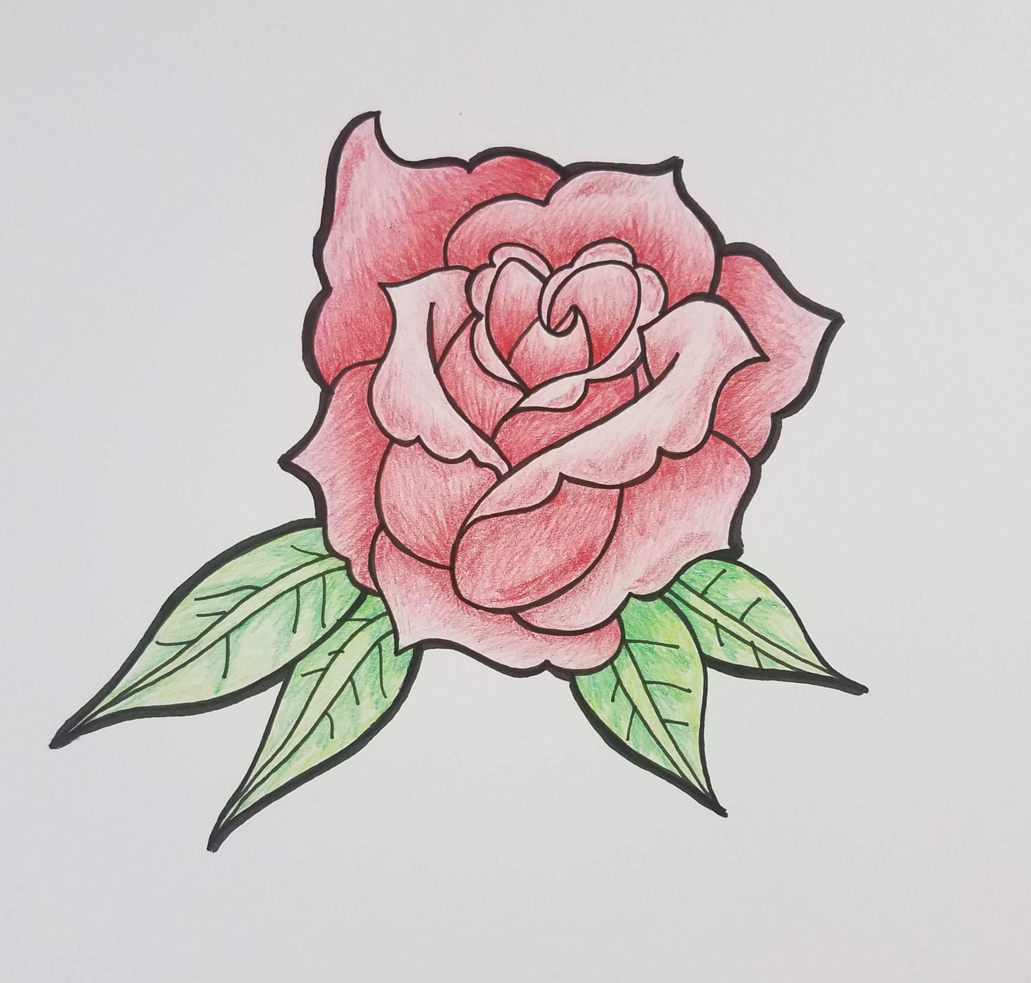 Top 202+ rose color sketch