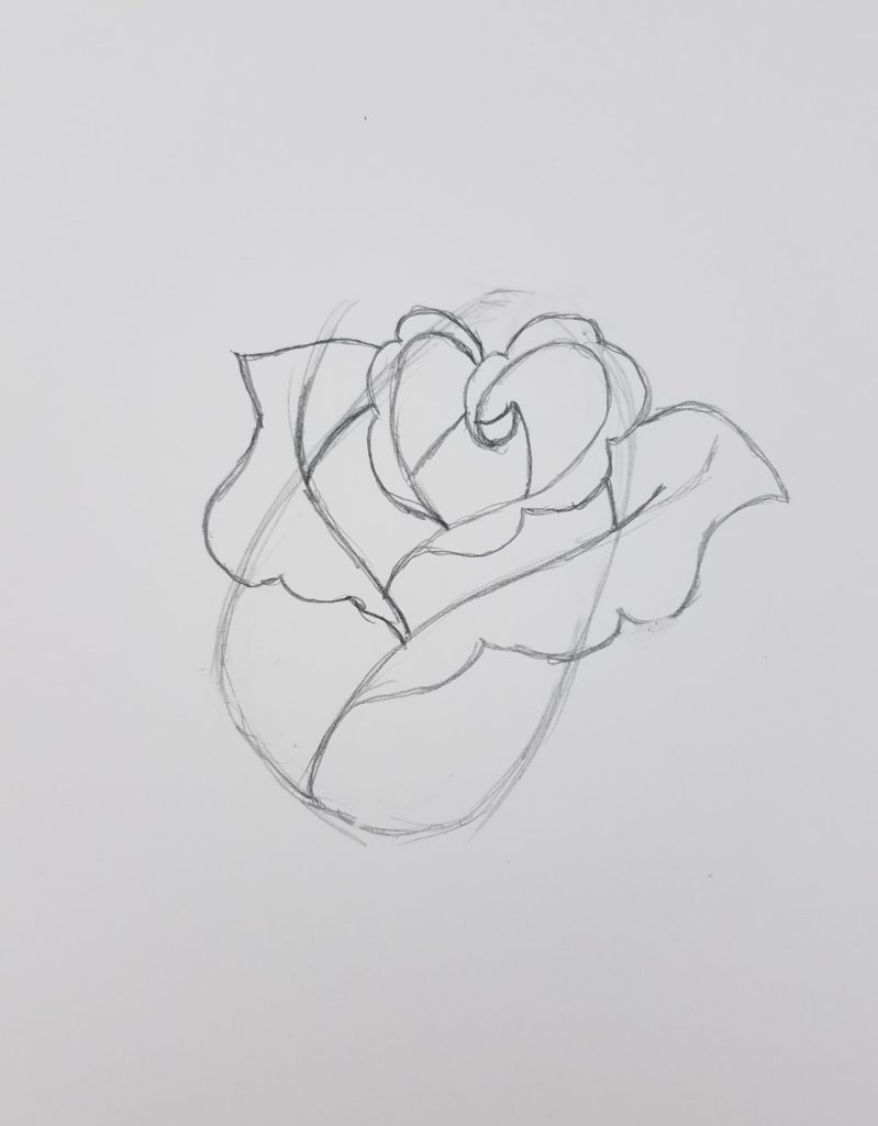 How To Draw A Rose Curled Edges Layers