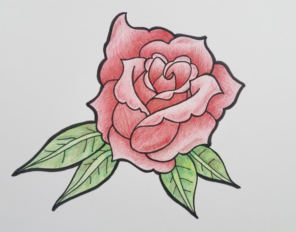 Drawing Beautiful Pink Rose Flower Bloom Stock Illustration 1663982746 |  Shutterstock