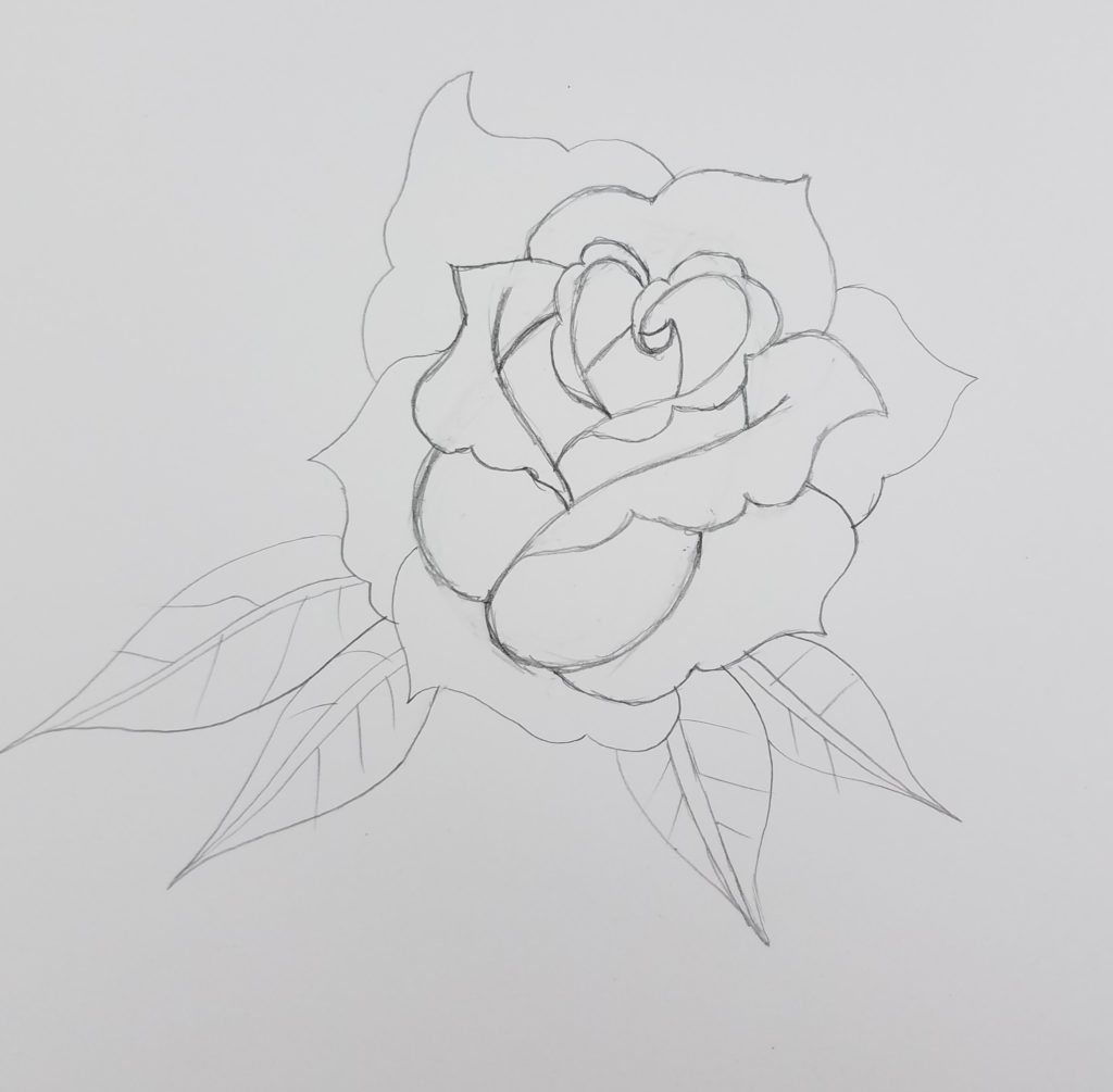 Single roses drawing set Royalty Free Vector Image