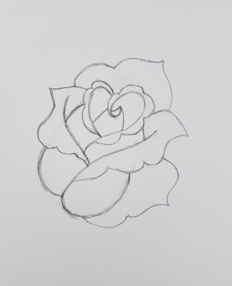 How to Draw a Rose for Beginners Step by Step - Art by Ro