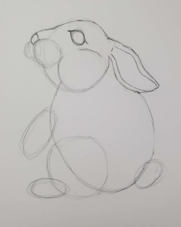 Bunny-Ears