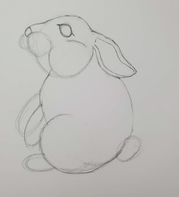Bunny-Drawing
