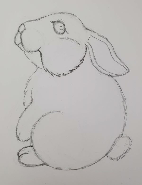 How-To-Draw-A-Bunny-Texture