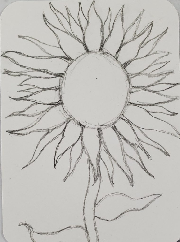 Sunflower drawing color easy