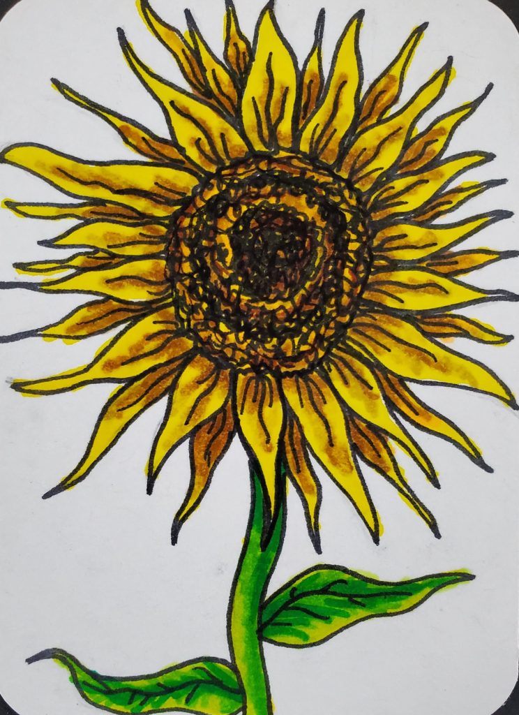 Featured image of post Color Detailed Sunflower Drawing - Start off by drawing the round bunch that represents the sunflower seeds.