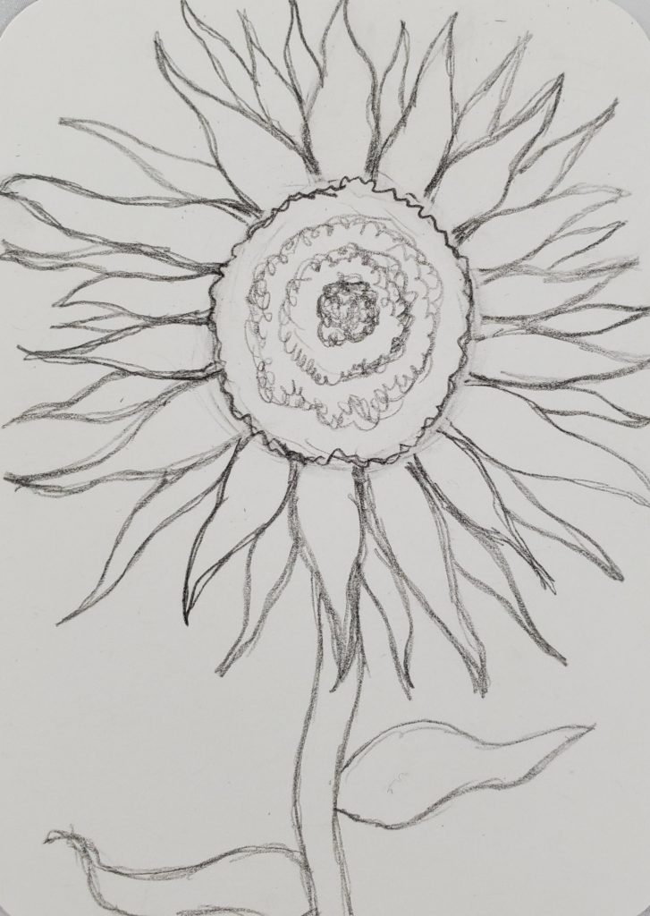 How To Draw A Sunflower, Realistic Sunflower, Step by Step, Drawing Guide,  by finalprodigy - DragoArt