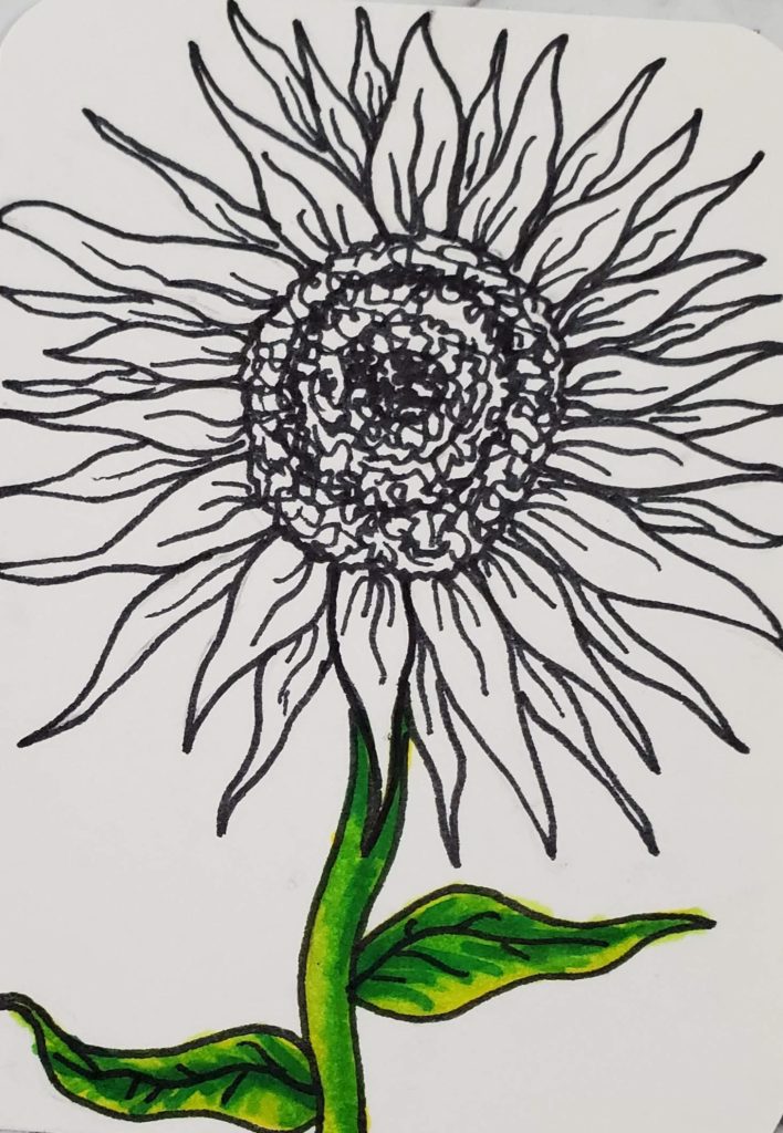 How To Draw A Sunflower Easy Art Tutorial Art By Ro