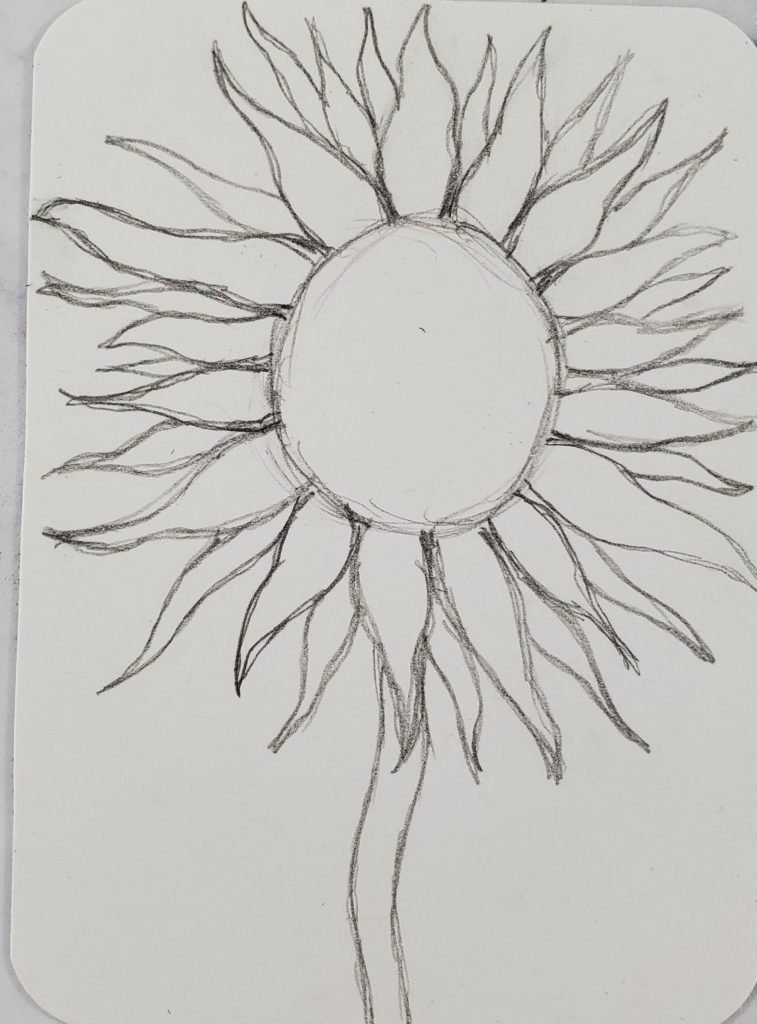 How-To-Draw-A-Sunflower-Stems
