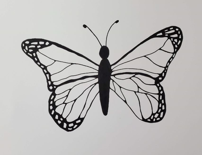 This is How to Draw a Butterfly in 10 Steps | Skillshare Blog