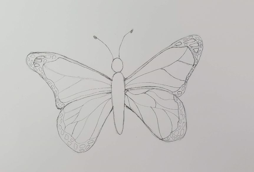 How to draw a butterfly easy step by step || Butterfly drawing - YouTube-saigonsouth.com.vn