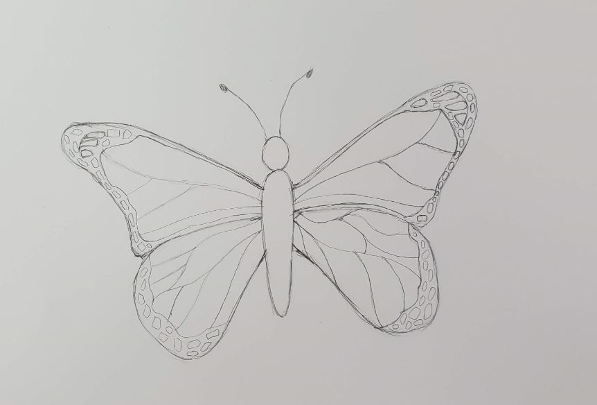 How to Draw a Butterfly | Easy & Fun Drawing Tutorial - Art by Ro