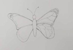 How to Draw a Butterfly | Easy & Fun Drawing Tutorial - Art by Ro