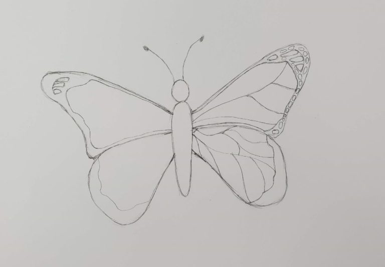 How to Draw a Butterfly | Easy & Fun Drawing Tutorial - Art by Ro