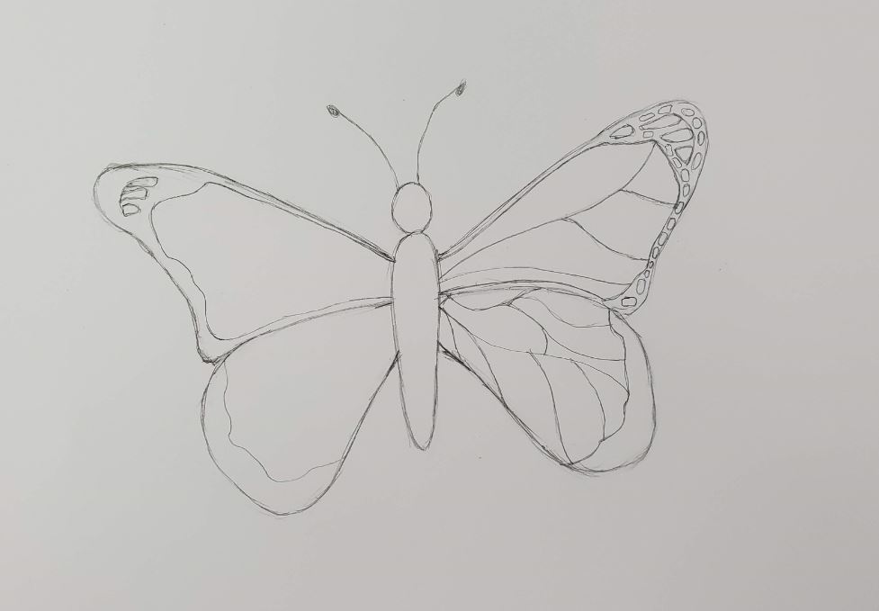 How to Draw a Butterfly | Easy & Fun Drawing Tutorial - Art by Ro