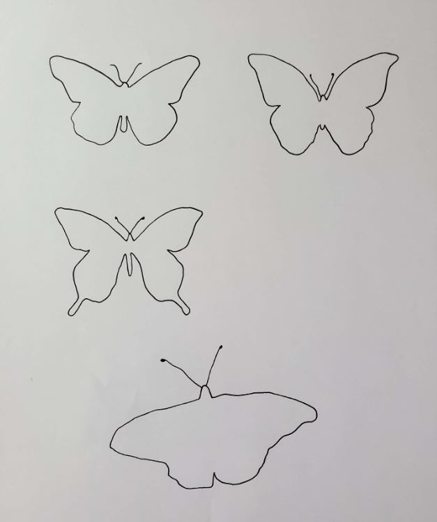 How-To-Draw-A-Butterfly-Shapes