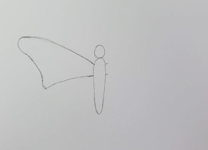 How-To-Draw-A-Butterfly-Top-Wing