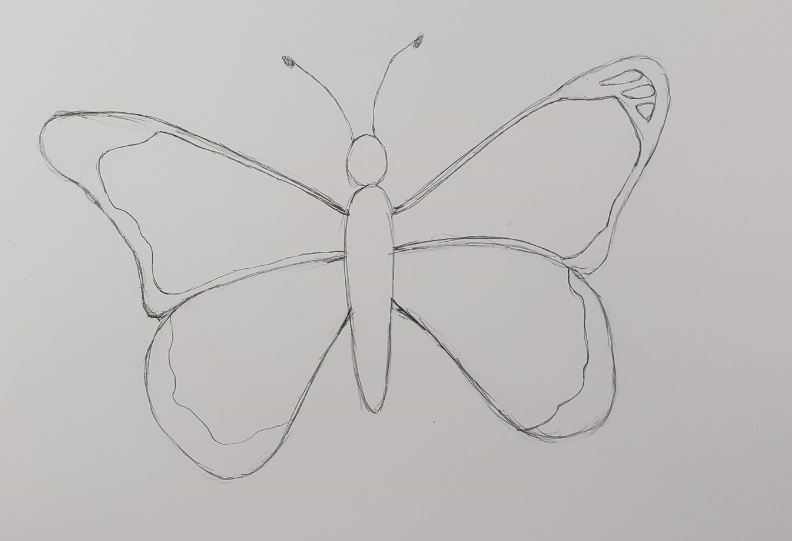 easy pencil drawings of butterflies