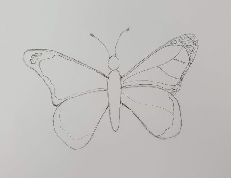 How to Draw a Butterfly | Easy & Fun Drawing Tutorial - Art by Ro