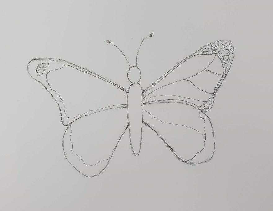 How to Draw a Butterfly - Easy Step-by-Step Video Tutorial