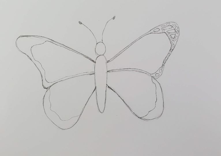 How to Draw a Butterfly | Easy & Fun Drawing Tutorial - Art by Ro