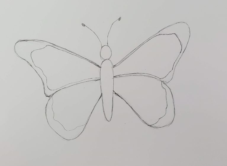 Morning Glory Flower and Butterfly Pencil Drawing | Behance :: Behance