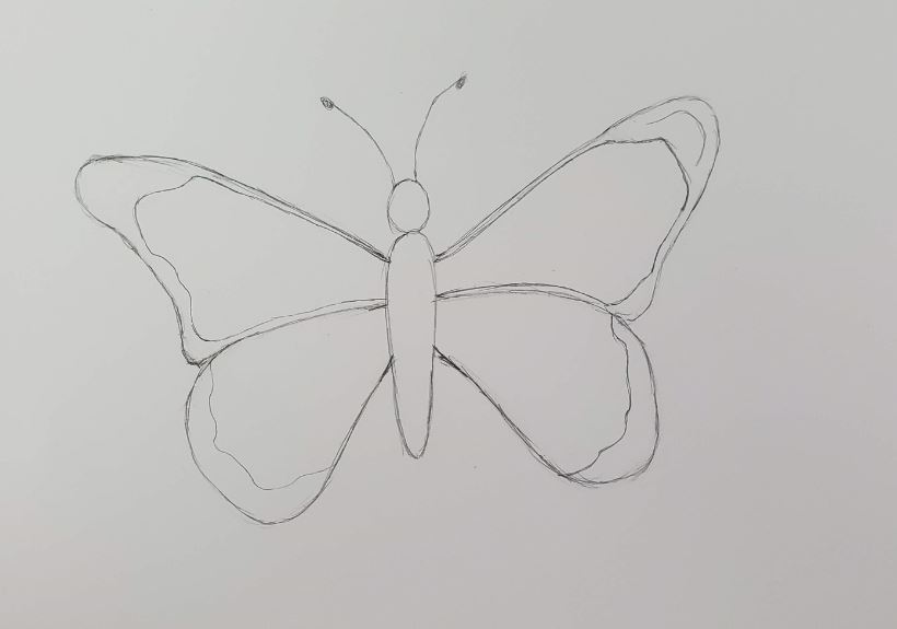 Beautiful butterfly sketch hand drawn in doodle Vector Image