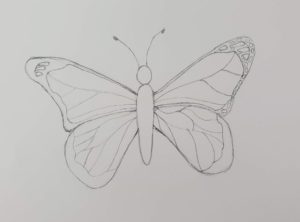 How to Draw a Butterfly | Easy & Fun Drawing Tutorial - Art by Ro