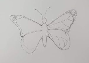 How to Draw a Butterfly | Easy & Fun Drawing Tutorial - Art by Ro