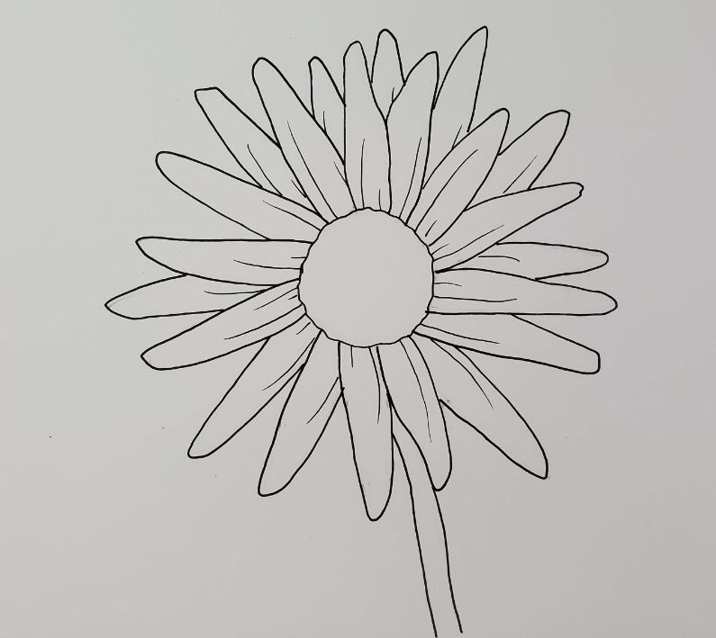 How to Draw a Daisy Easy Step by Step - Art by Ro