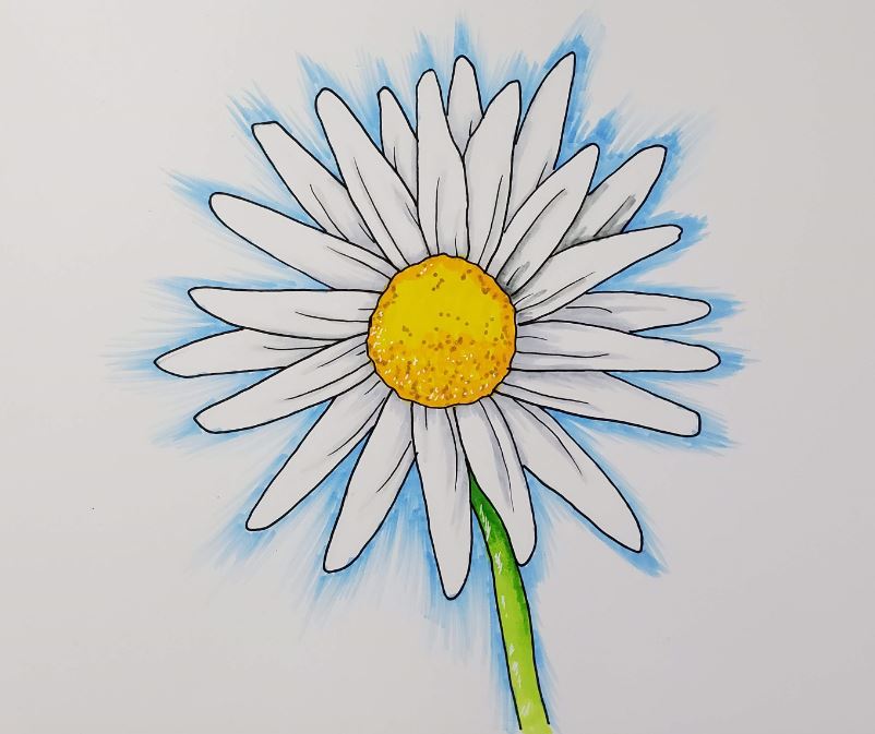 Draw a how daisy sketch to How To