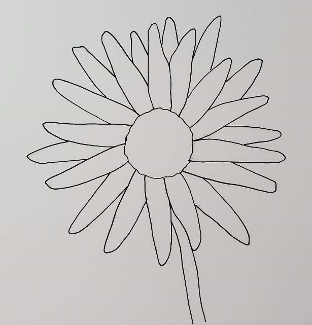 How to Draw a Daisy From Easy Simple Shapes