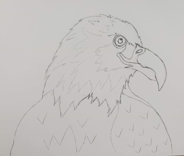 Easy Eagle Head Drawing Step by Step - Art by Ro