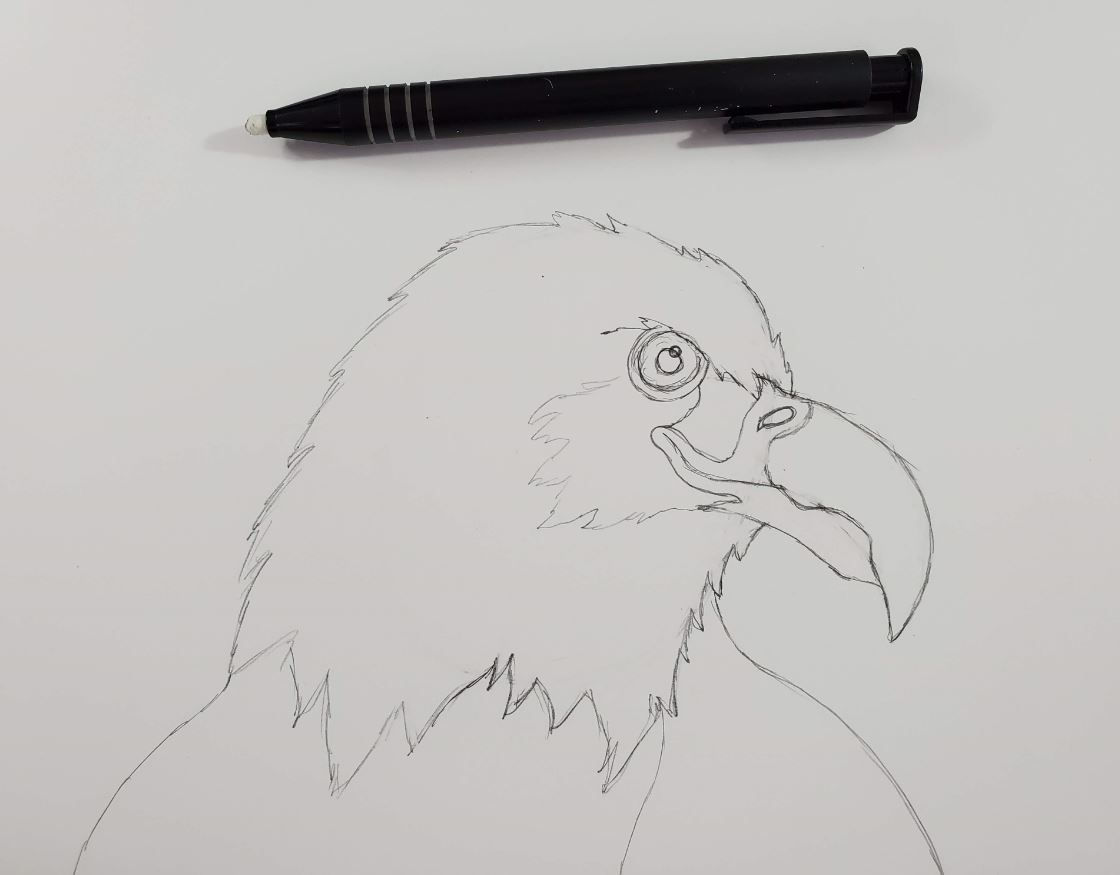 How-To-Draw-An-Eagle-Click-Eraser