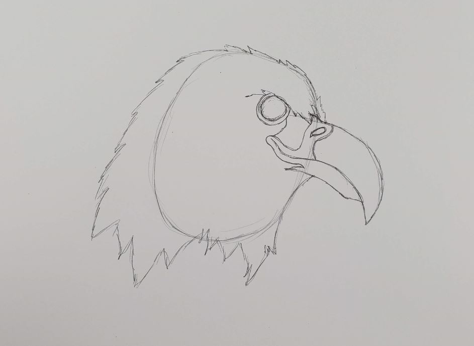 How-To-Draw-An-Eagle-Eye-Detail