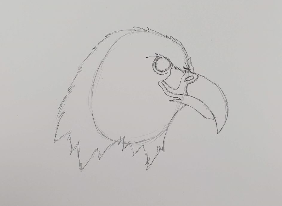 how to draw an eagle eye